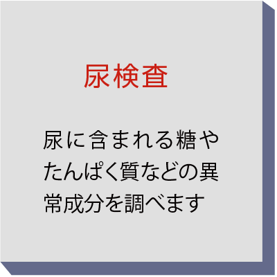 尿検査 尿に含まれる糖やたんぱく質などの異常成分を調べます
